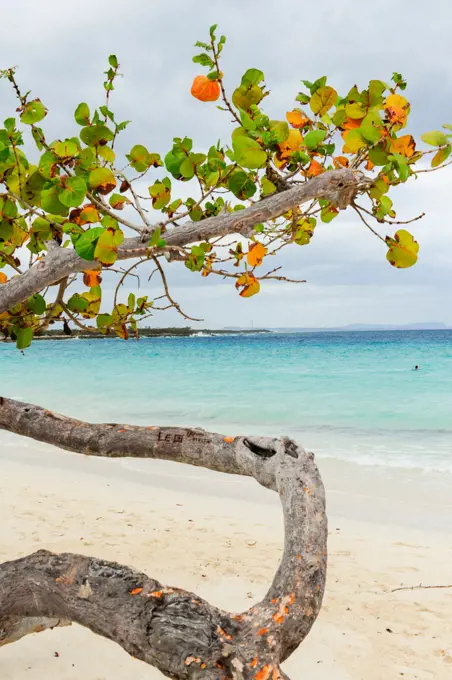 Cuba, Playa Guardalavaca, Holguin, Guardalavaca