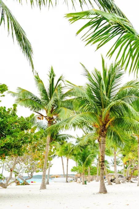 Cuba, Playa Guardalavaca, Holguin, Guardalavaca