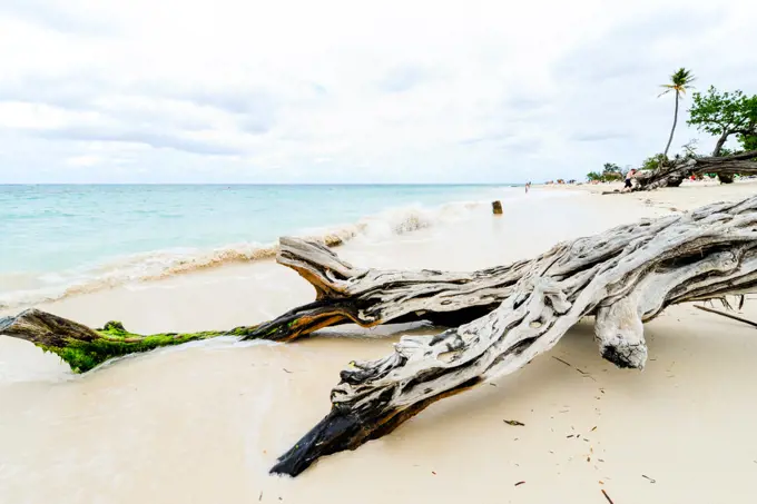 Cuba, Playa Guardalavaca, Holguin, Guardalavaca