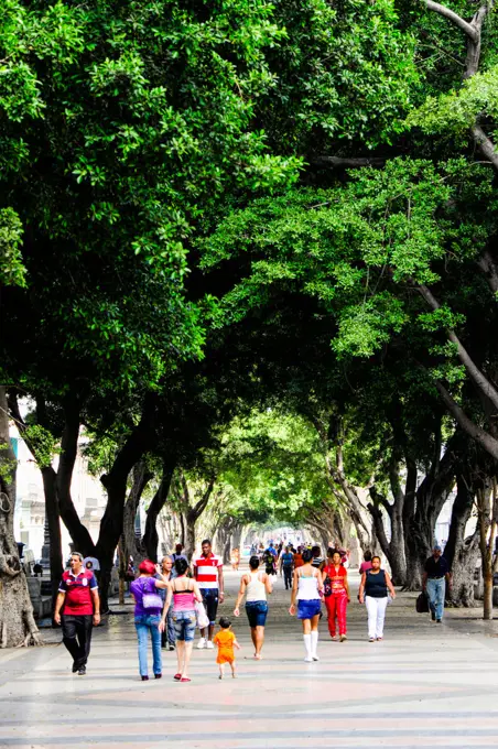 Cuba, La Habana Vieja, old town Havana, Paseo de Marti, Prado, Habana