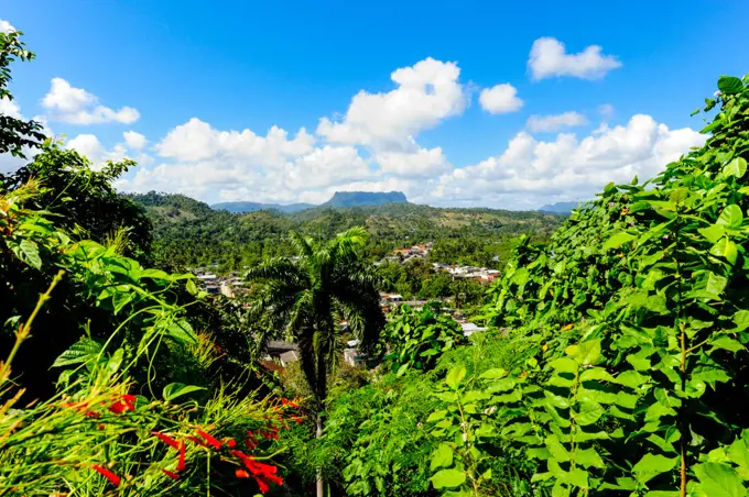 Cuba, Guantanamo, Baracoa, Mountain Yunque