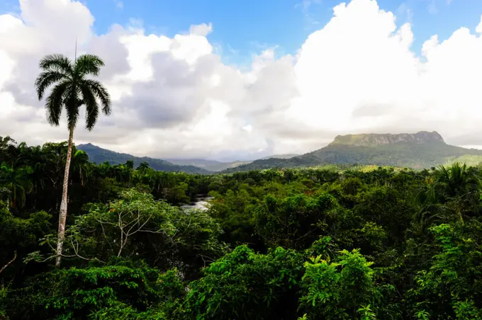 Cuba, Guantanamo, Baracoa, Mountain Yunque