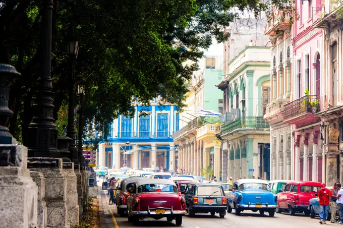 Cuba, La Habana Vieja, old town Havana, Paseo de Marti, Prado, Habana