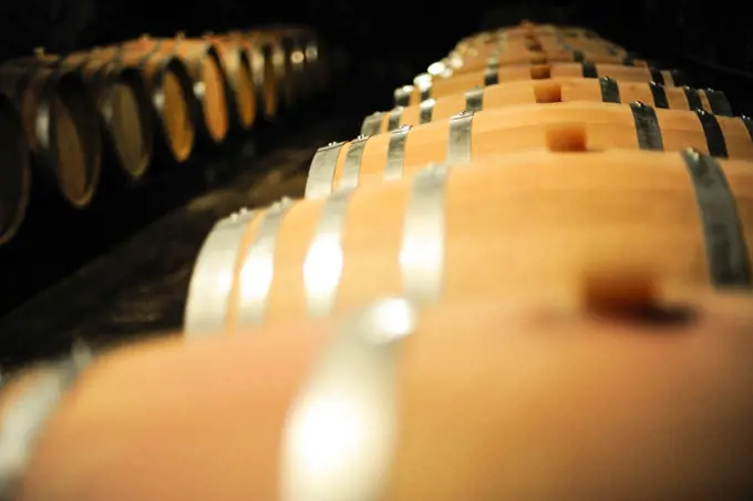 Wine casks, Austria, Burgenland, Northern Burgenland, Jois