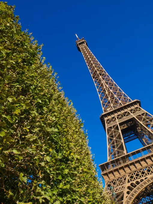 Paris, Eiffel Tower, Tour Eiffel, France