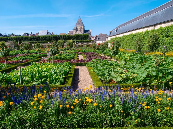 Chateau et Jardins de Villandry, Indre-et-Loire, historical garden, France, Loire Valley, Villandry