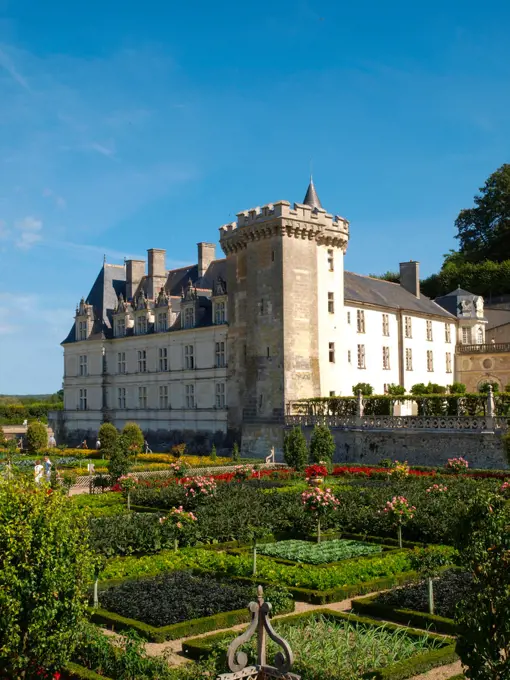 Chateau et Jardins de Villandry, Indre-et-Loire, historical garden, France, Loire Valley, Villandry