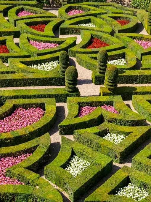 Chateau et Jardins de Villandry, Indre-et-Loire, historical garden, France, Loire Valley, Villandry