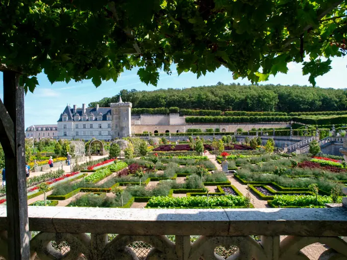 Chateau et Jardins de Villandry, Indre-et-Loire, historical garden, France, Loire Valley, Villandry