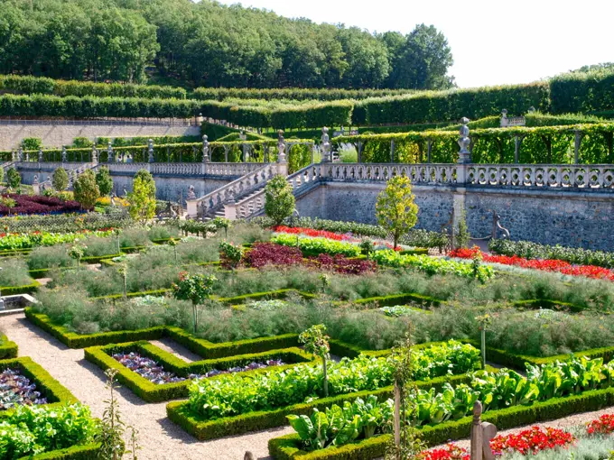 Chateau et Jardins de Villandry, Indre-et-Loire, historical garden, France, Loire Valley, Villandry