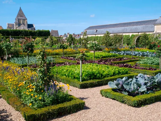 Chateau et Jardins de Villandry, Indre-et-Loire, historical garden, France, Loire Valley, Villandry