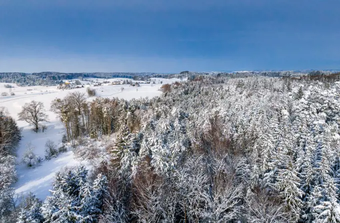 Winter landscape with snowy trees, Bavaria, Germany