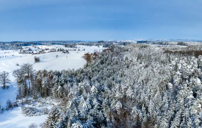 Winter landscape with snowy trees, Bavaria, Germany