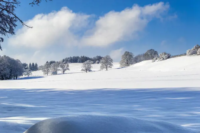 Beautiful winter landscape in Bavaria. Germany