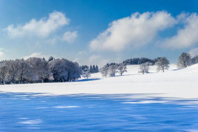 Beautiful winter landscape in Bavaria. Germany