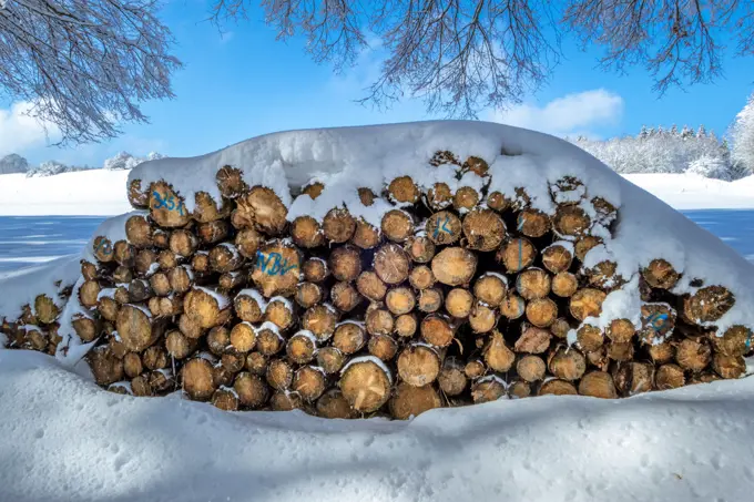 Stacked firewood in winter