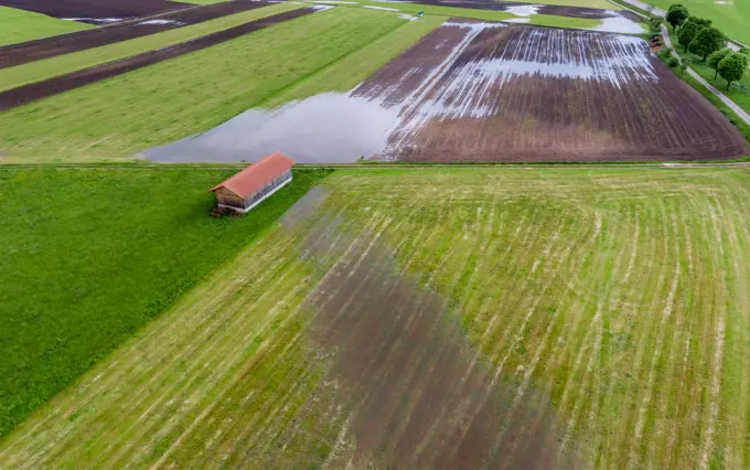 Flooded Field after Rain