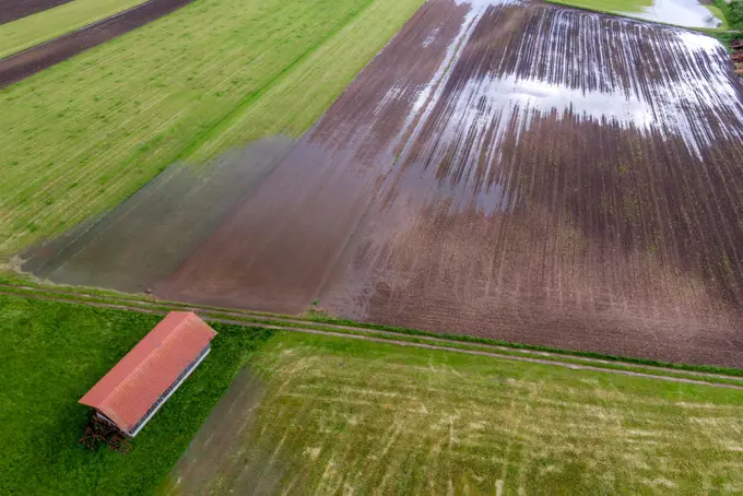 Flooded Field after Rain