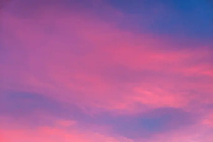 Pink clouds in the evening sky.