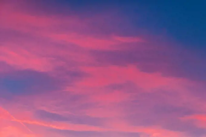 Pink clouds in the evening sky.