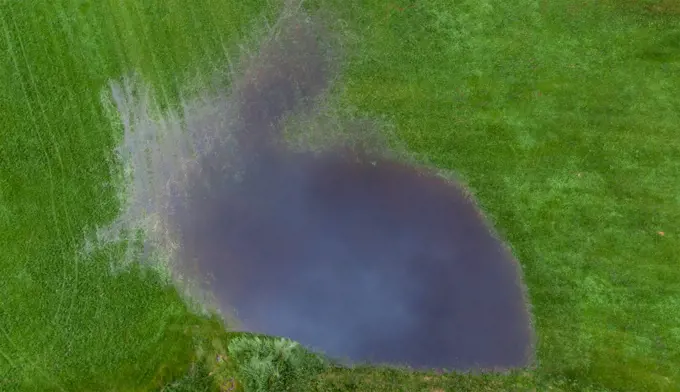 Flooded Pasture after Rain