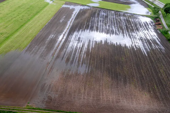 Flooded Field after Rain