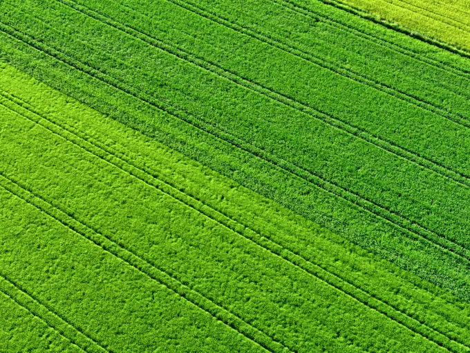 Green field from above, Bavaria, Germany