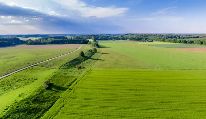 Green field from above, Bavaria, Germany