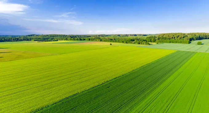 Green field from above, Bavaria, Germany