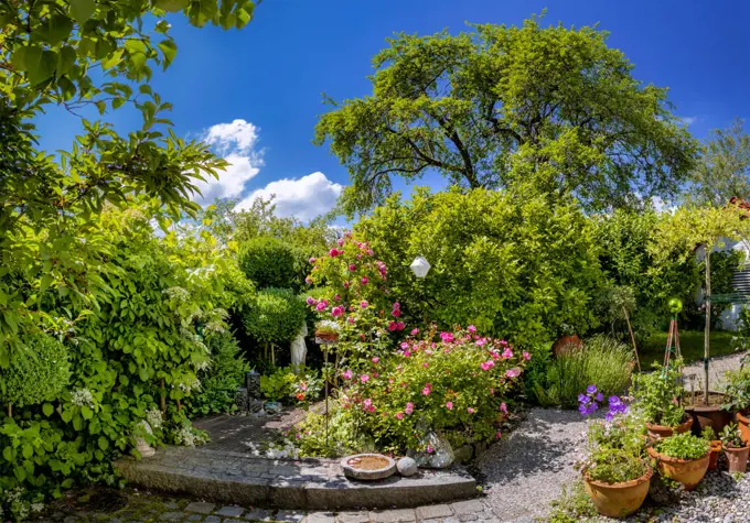 Garden in Summer, Bavaria, Germany