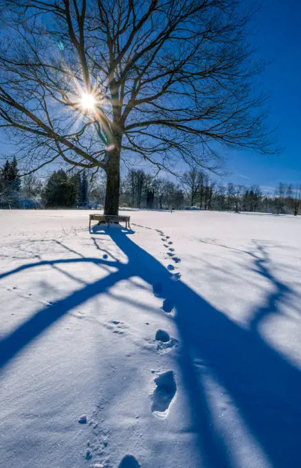 Verschneite Landschaft im Winter, Bayern, Deutschland, Europa