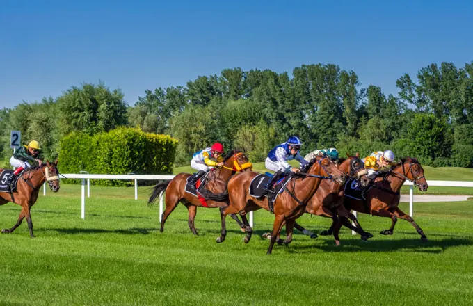 Horse racing in Munich Daglfing, Bavaria, Germany