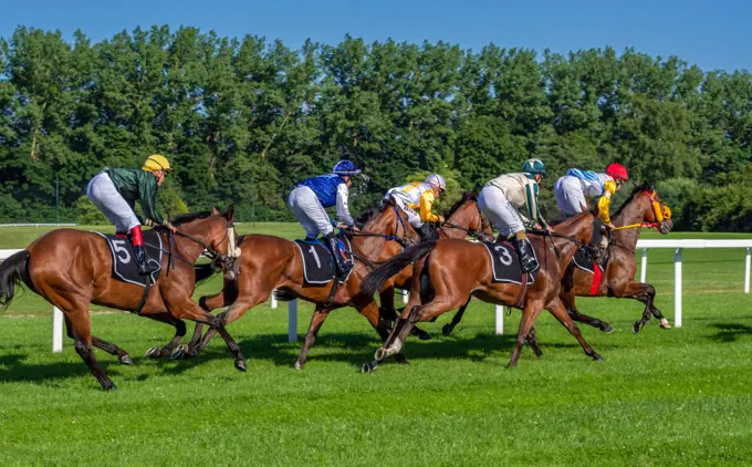 Horse racing in Munich Daglfing, Bavaria, Germany