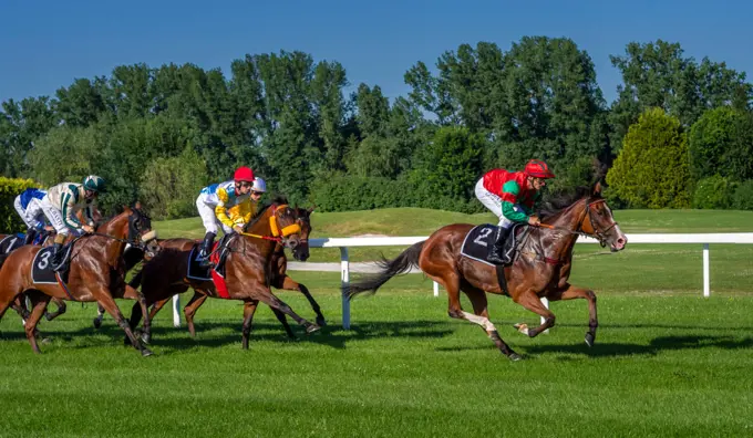 Horse racing in Munich Daglfing, Bavaria, Germany