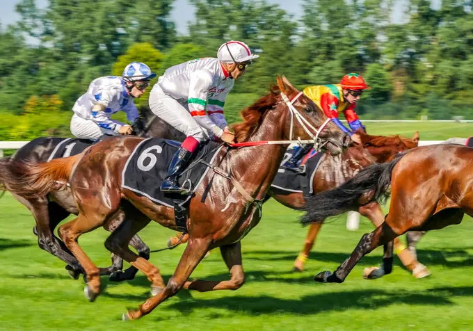 Horse racing in Munich Daglfing, Bavaria, Germany