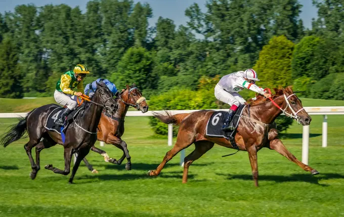 Horse racing in Munich Daglfing, Bavaria, Germany