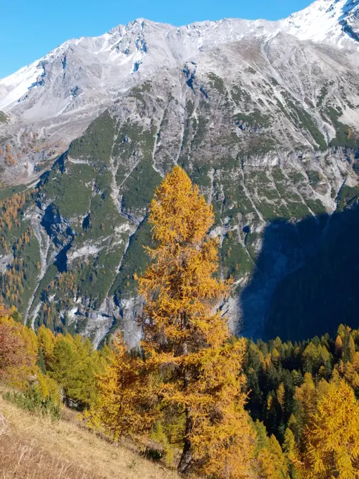 Stilfser Joch, South Tyrol, Italy;Stilfser Joch, South Tyrol, Italy