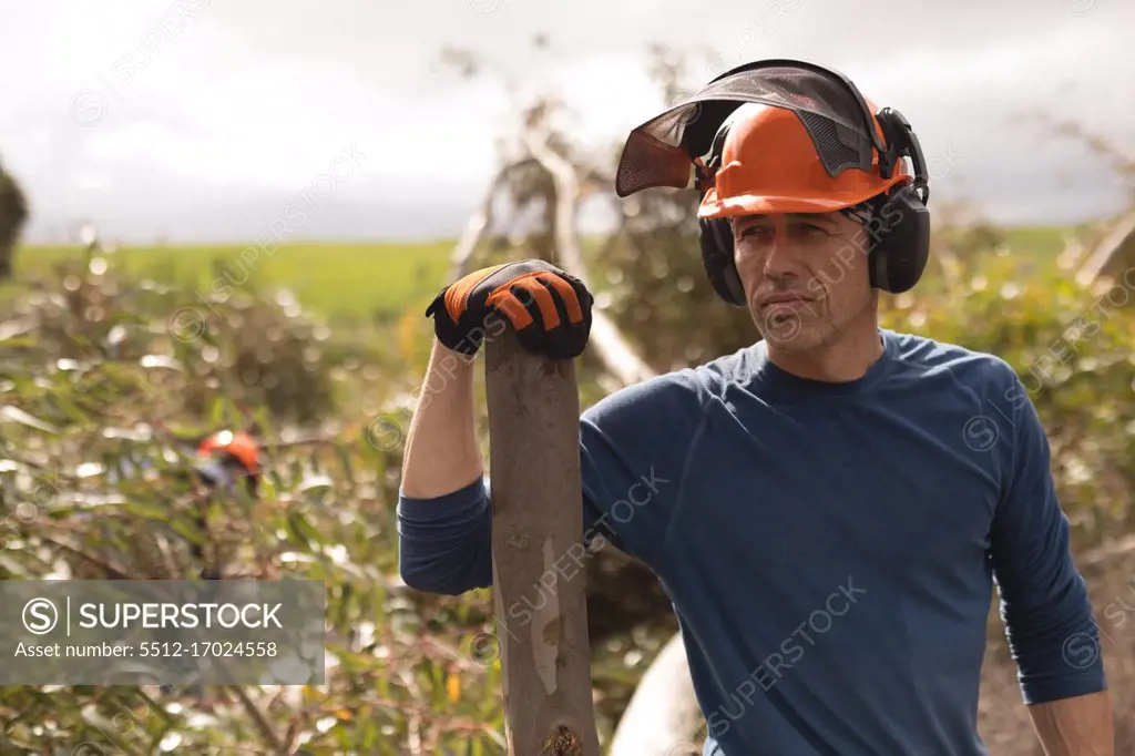 Lumberjack standing with wooden log in forest