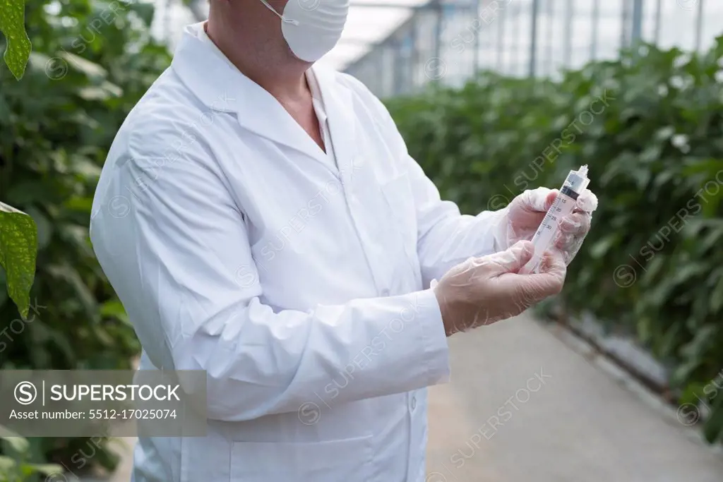 Mid section of scientist holding a syringe in greenhouse