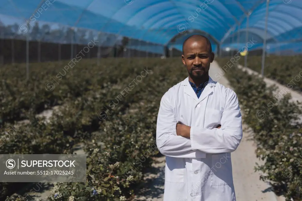 Portrait of man standing with arms crossed in blueberry farm