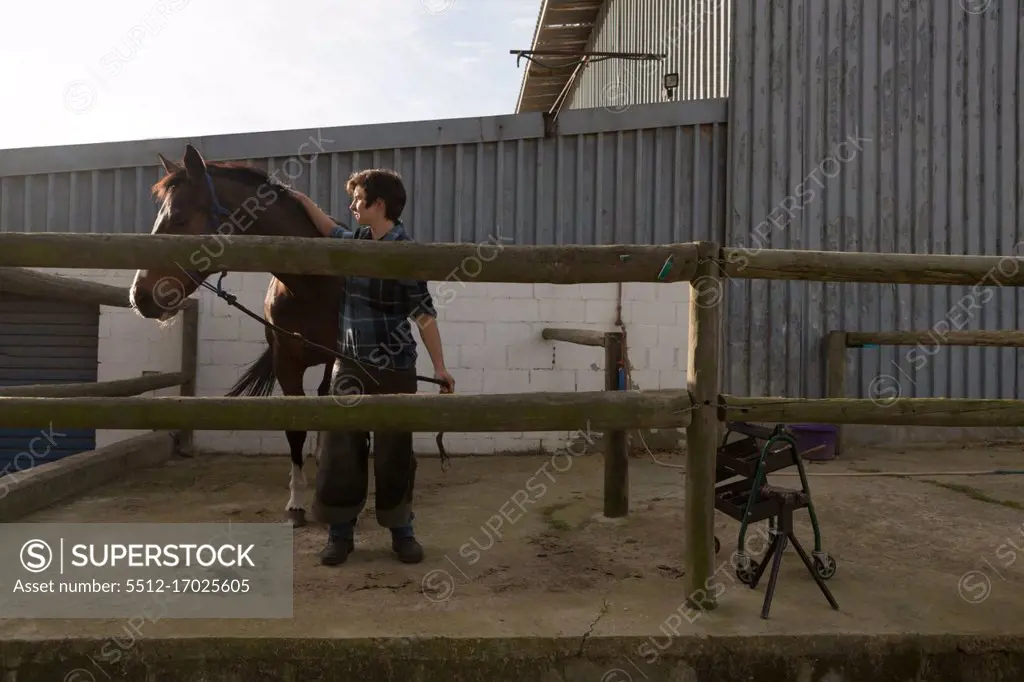 Woman stroking horse at stable on a sunny day