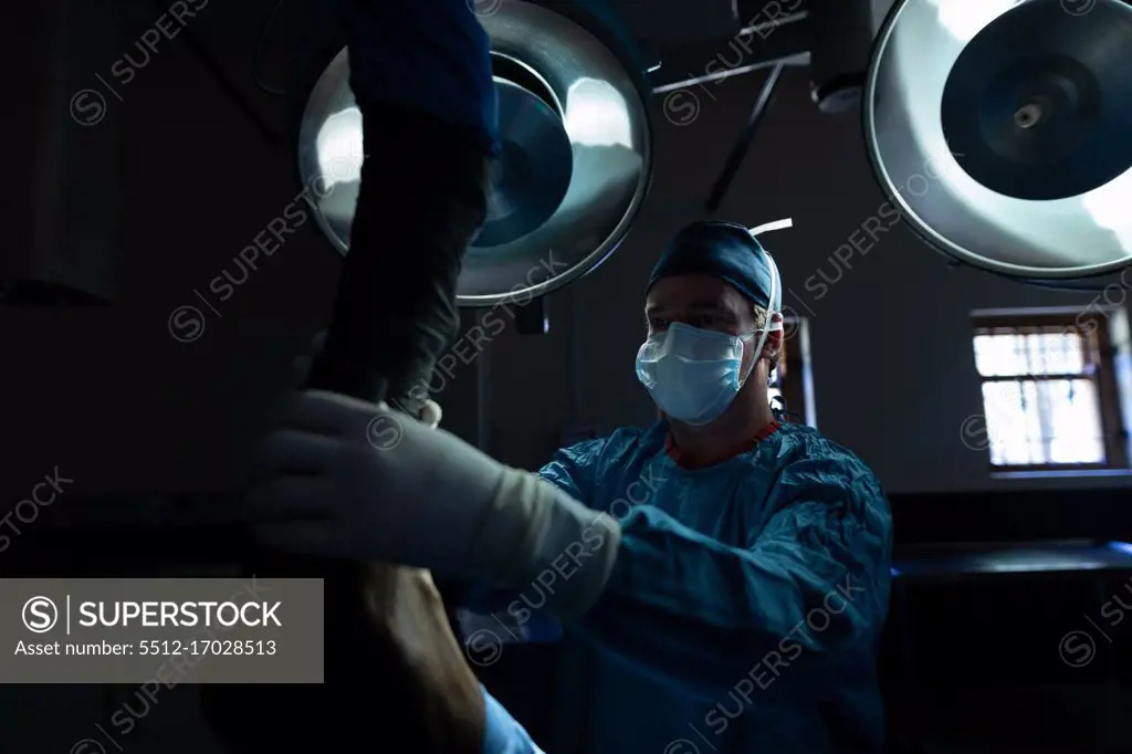 Surgeon operating a horse in operation theatre at hospital