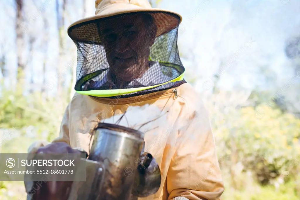 Caucasian senior man wearing beekeeper uniform holding tool with smoke to calm bees. beekeeping, apiary and honey production concept.