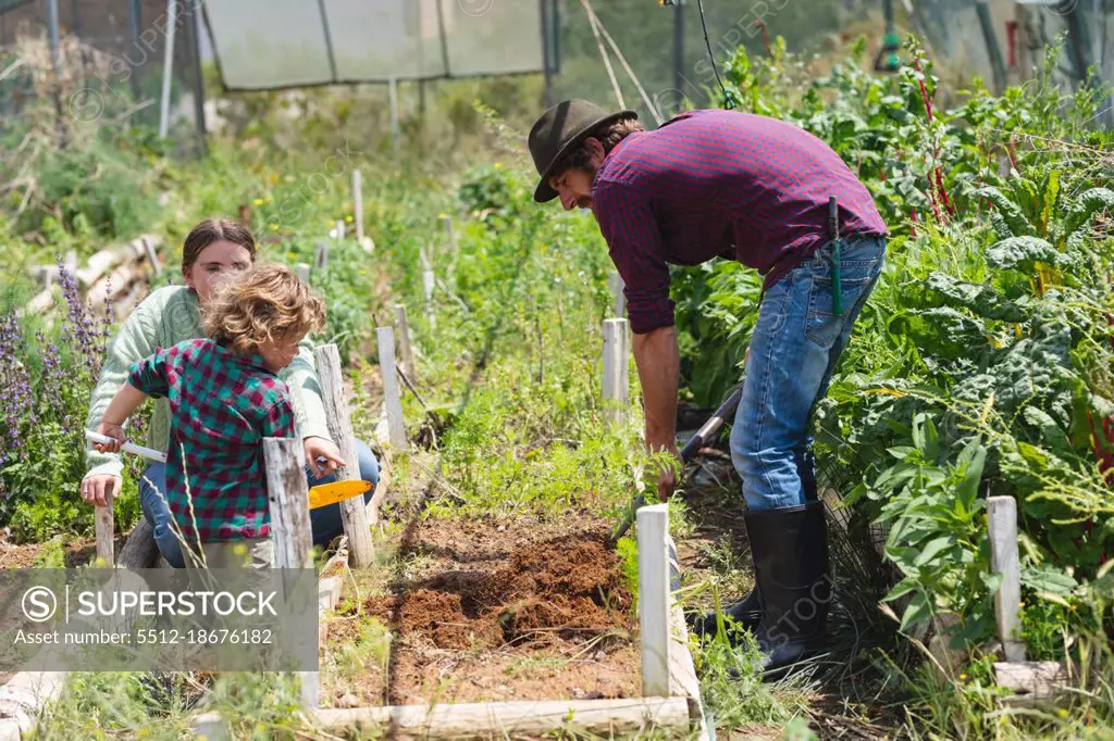 Parents with cute boy farming together at organic farm on sunny day. homesteading and family.