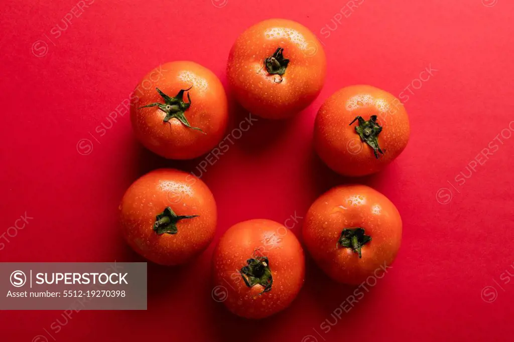 Directly above view of fresh red tomatoes with water drops arranged on colored background. unaltered, food, healthy eating, organic concept.