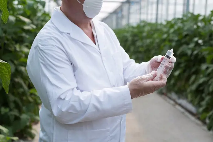 Mid section of scientist holding a syringe in greenhouse