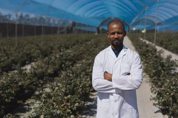 Portrait of man standing with arms crossed in blueberry farm