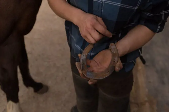 Mid section of woman holding horseshoe at stable