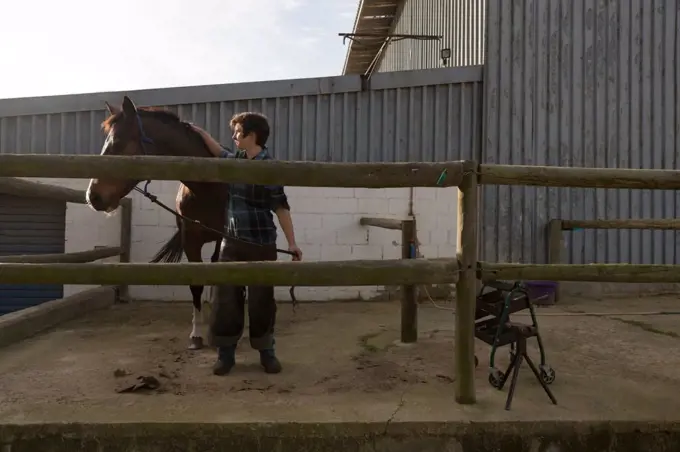 Woman stroking horse at stable on a sunny day