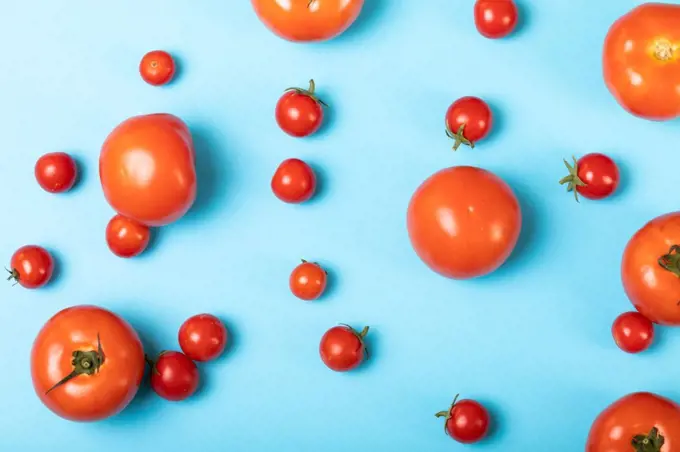 Overhead view of fresh tomatoes scattered over blue background. unaltered, organic food and healthy eating concept.